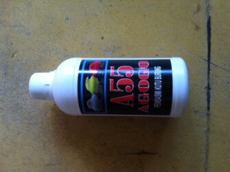 Obat Kutu Untuk Burung