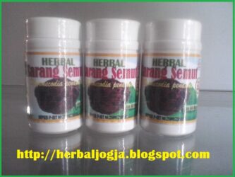 Sarang Semut Papua Herbal Kanker Dan Tumor