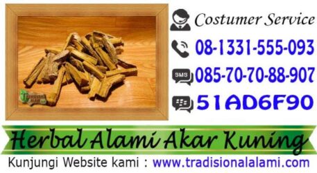 Akar Kuning, Sembuhkan, Penyakit Kuning