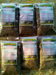 Obat Herbal Untuk Hiv / Aids, Kanker, Diabetes Dll