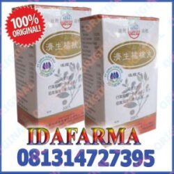 Obat Hernia Herbal