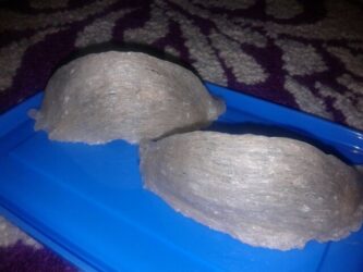 Jasa Cuci Sarang Walet. Sudah Dipatenkan.