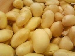 Jual Kacang Kedelai Import Dan Lada