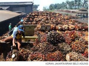 Lowongan Kerja Asitant Kebun Dan Estate Manager