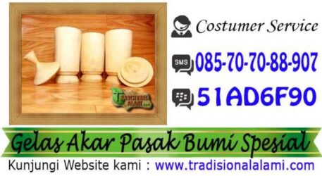 Cara Sembuhkan Ejakulasi Dini, Lemah Syahwat, Obat Kuat, Herbal Alami