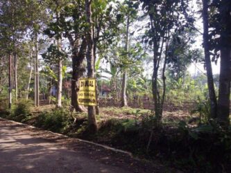 Jual Cepat Tanah Strategis Jatinangor, Raharja Tanjungsari