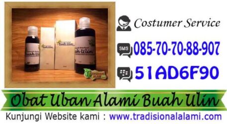 Rambut Putih, Uban, Rambut Rontok Parah, Minyak Buah Ulin, Solusi