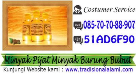 Minyak Burung Bubut Menyebuhkan, Rematik, Asam Urat, Asli, Indonesia