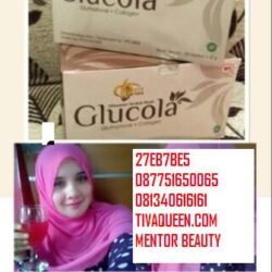 Leader Aktif Mentor Beuty Nano Spray, Paham Internet Marketing