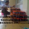 Foto: Ternak Semut Rang Rang