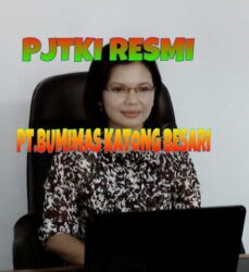 Pjtki Resmi Online Terbaru Erva Dhevi