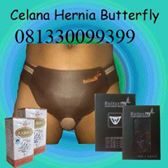 Obat Hernia Dan Celana Hernia Magnetik Butterfly