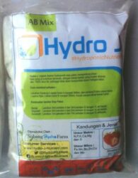 Belajar Hidroponik Di Mojokerto? Kemantren Tempatnya