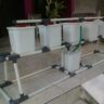 Foto: Jual Starterkit Hidroponik Wick Sistem atau NFT System Di Sidoarjo Surabaya