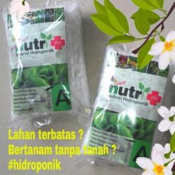 Jual Starterkit Hidroponik Wick Sistem Atau NFT System Di Sidoarjo Surabaya
