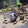 Foto: Tukang Renovasi Paving Block Amblas Di Jakarta