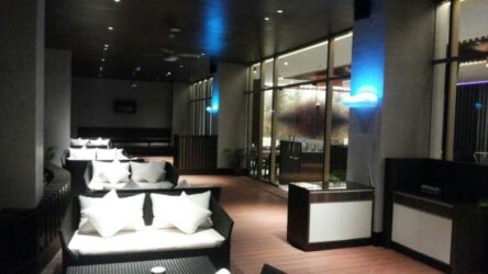 Jual Fly Catcher Di Cirebon