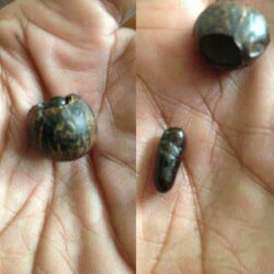 Mustika Songsong Brojo