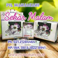Pil Manjakani Sekar Malam