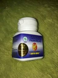 Obat Diabetes Herbal Alami Pankreas Kapsul