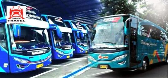 Sewa Bus Pariwisata