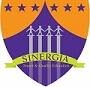 Sinergia E-Learning Program