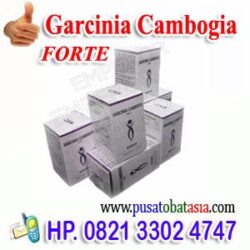Jual Obat Pelangsing Garcinia Cambogia Forte