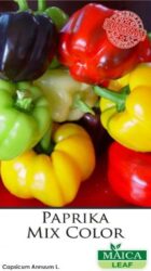 Menjual Benih Pepaya California (Calina) Murah. Juga Sedia Benih Bunga Dan Buah Lainnya