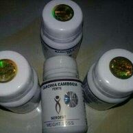 Obat Pelangsing Garcinia Cambogia Forte
