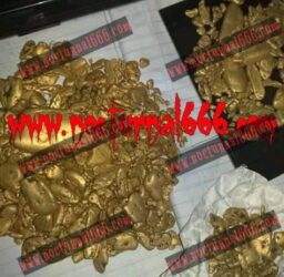 Pesugihan Jual Umur Randu Alas, Bergaransi