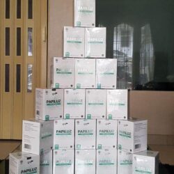 Jual Obat Diet Papiluz Asli Herbal Alami