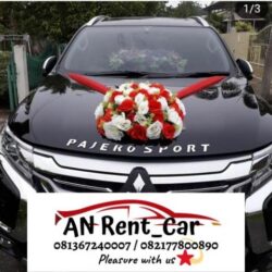 Rental Mobil Anrentcar