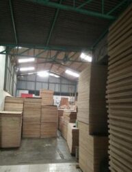 Triplek Termurah  9 Mm Pg @ 85.000 & Triplek 12 Mm Pg @ 125.000