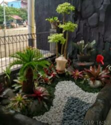 Jasa Tukang Taman Bintaro, Cibubur, Serpong