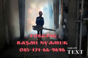 Basmi Suntik Rayap Sidoarjo