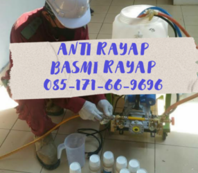Basmi Suntik Rayap Sidoarjo