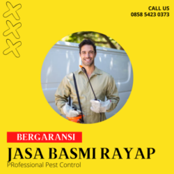 Jasa Basmi Rayap Garansi – Lamongan