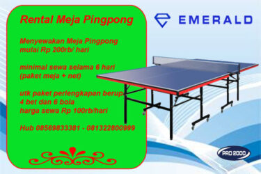 Sewa / Rental Tenis Meja Pingpong Jabodetabek