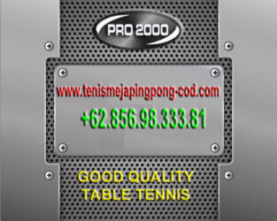 Tenis Meja Ping Pong Merk Razer T9 Recomended