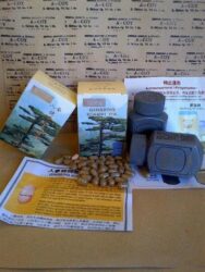 Penggemuk Badan Surabaya