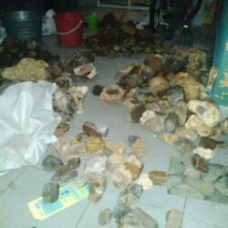 Jual Chalcedony Batu Raja Harga Tambang