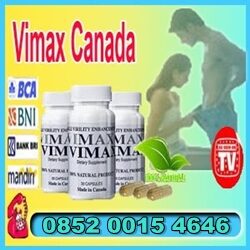 Suplemen Herbal Penambah Stamina Pria