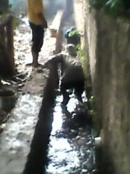 Tukang Perbaikan & Pembuatan Drainase