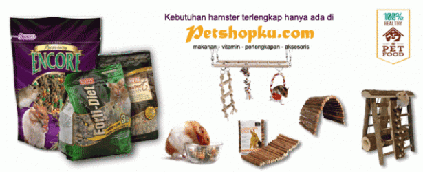Jual Kandang Hamster Harga Murah